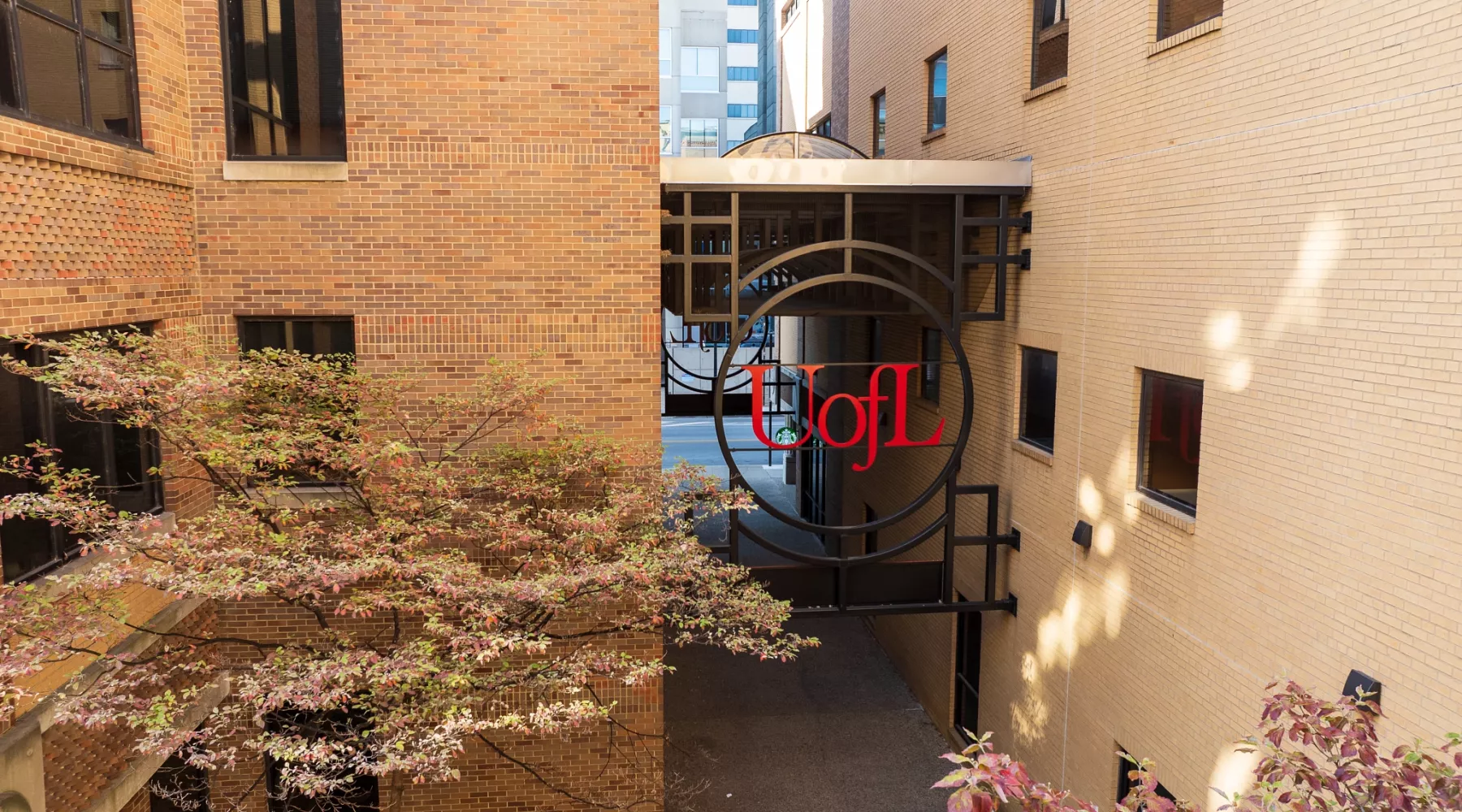 High-angle view of the pedway outside of the School of Nursing building in fall